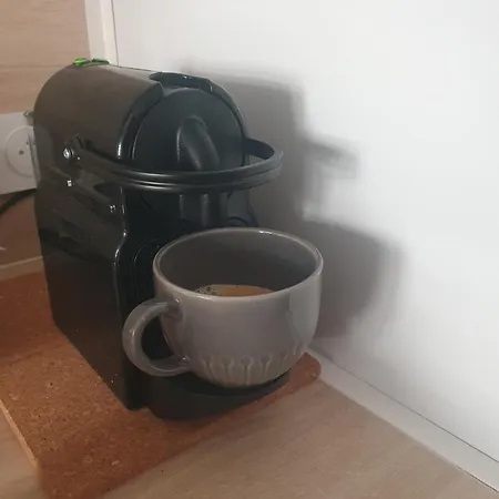 Apartment Le Versailles 4 Prs Cosy Carre D Or *